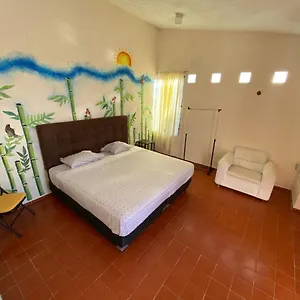 2* Pensión Casa Bugambilias